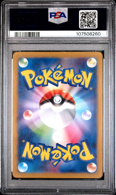 PSA 107508260 back