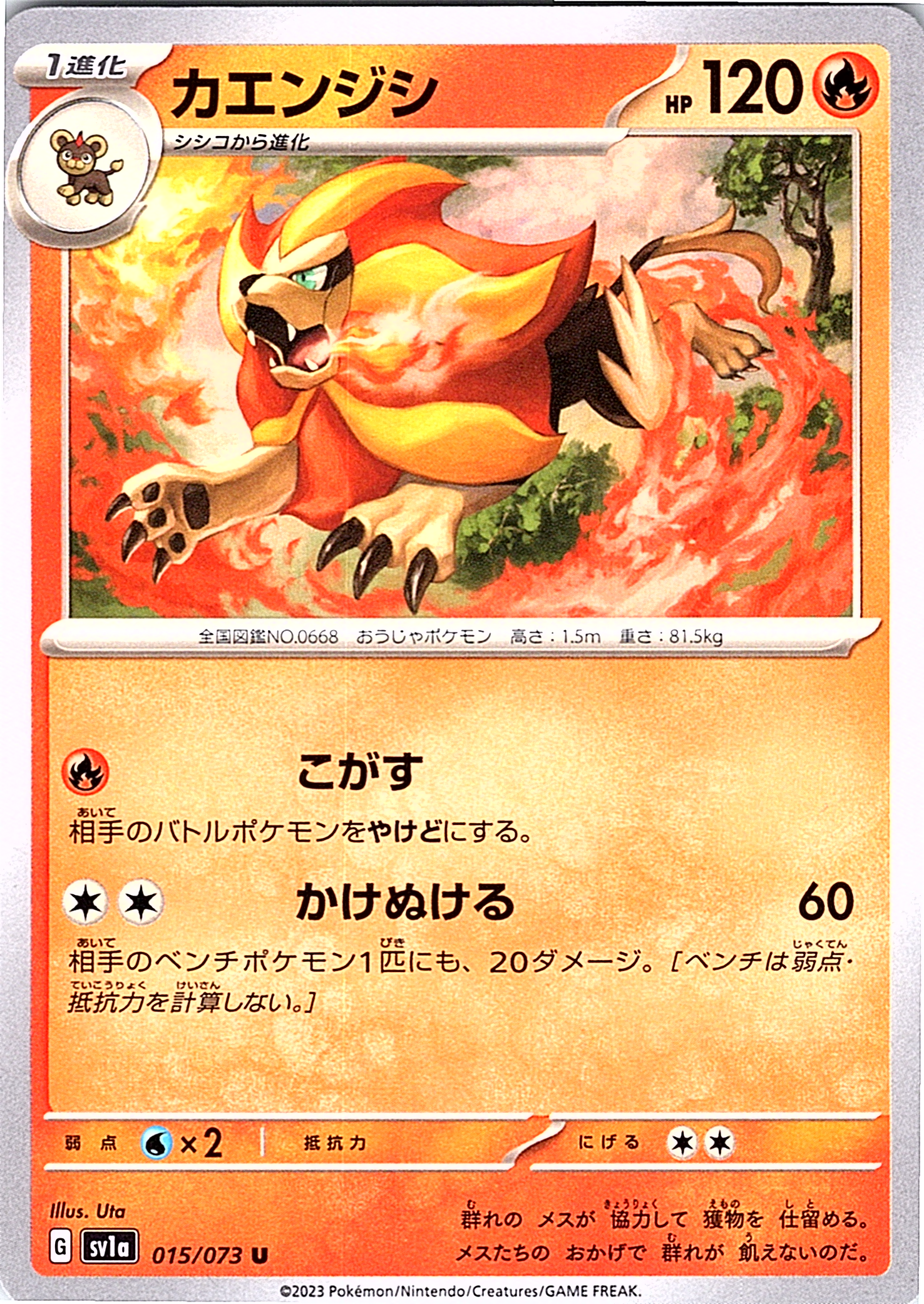 Arcanine #075/073 — Scarlet & Violet (Japanese)