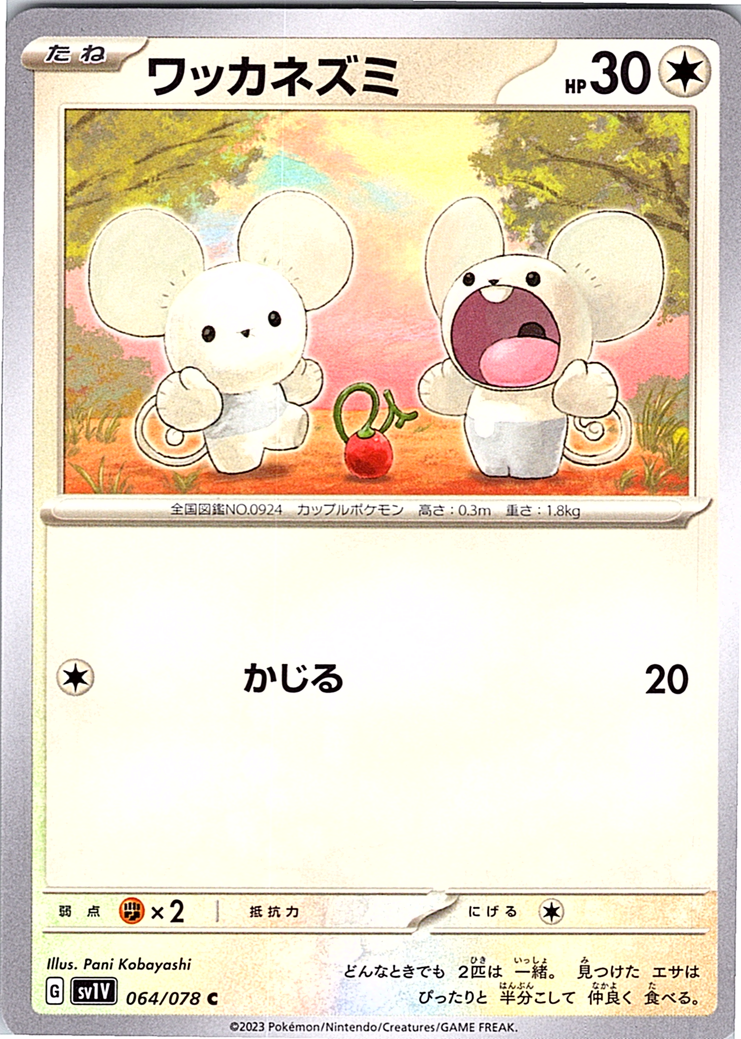 Wakkanezumi #064/078 — Scarlet & Violet (Japanese)